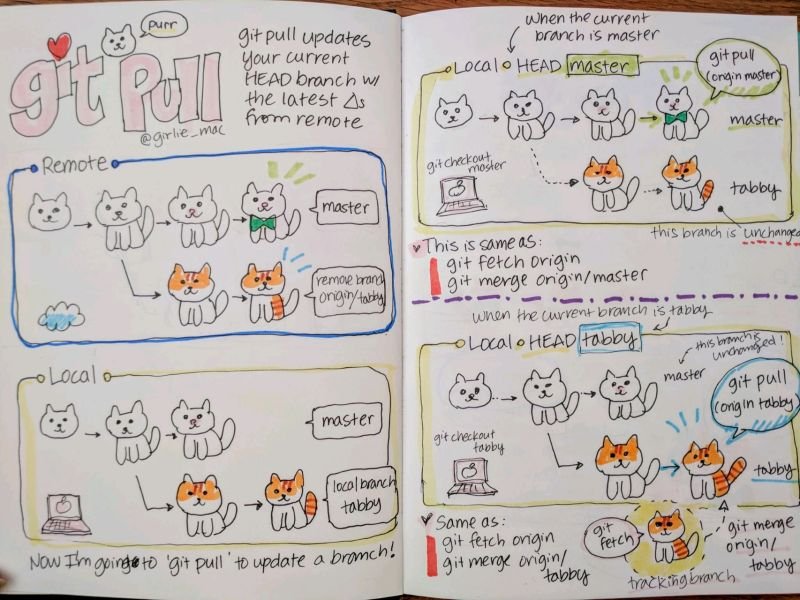 A small #GIT tutorial that is instructive and fun to look at. 😸