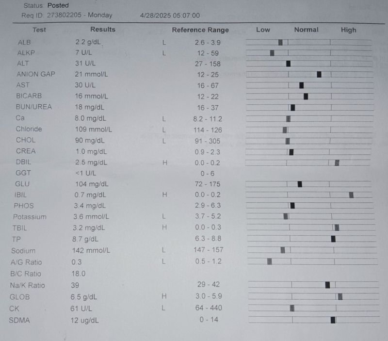 What powers your vet clinic’s software? 🐶 🐱 🐰 🐹 🐭 🦎 🐕 🐈